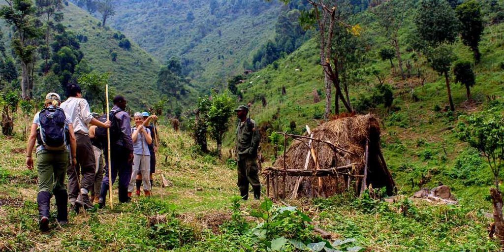 1 Day Gorilla trek Rwanda