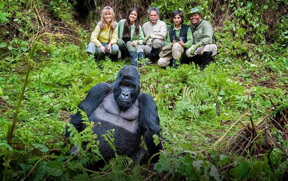 4 days Uganda Rwanda gorilla safari