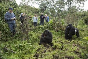 5 days Rwanda gorillas