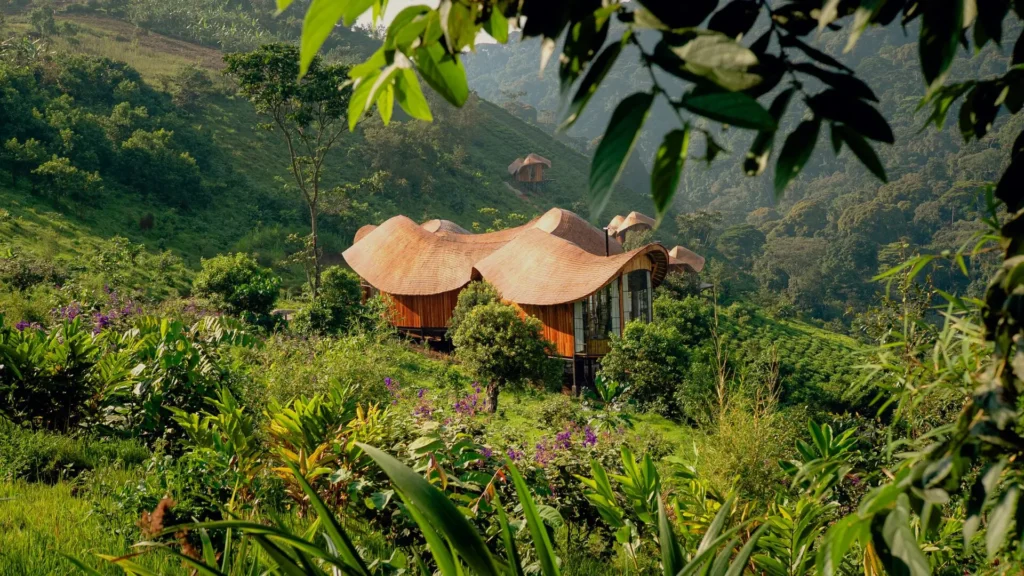 Erebero Hills: Luxury Gorilla Lodge in Bwindi, Uganda