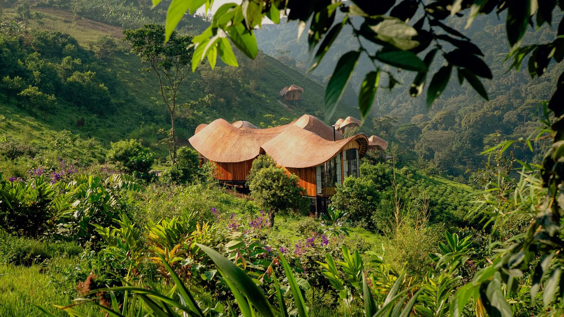 Erebero Hills: Luxury Gorilla Lodge in Bwindi, Uganda
