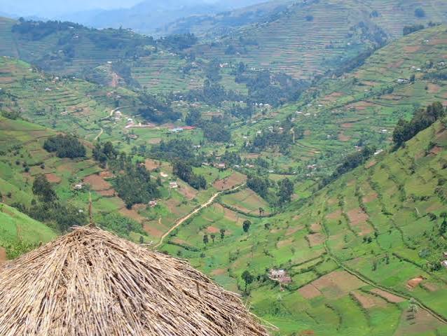 Virunga Gorilla Marathon