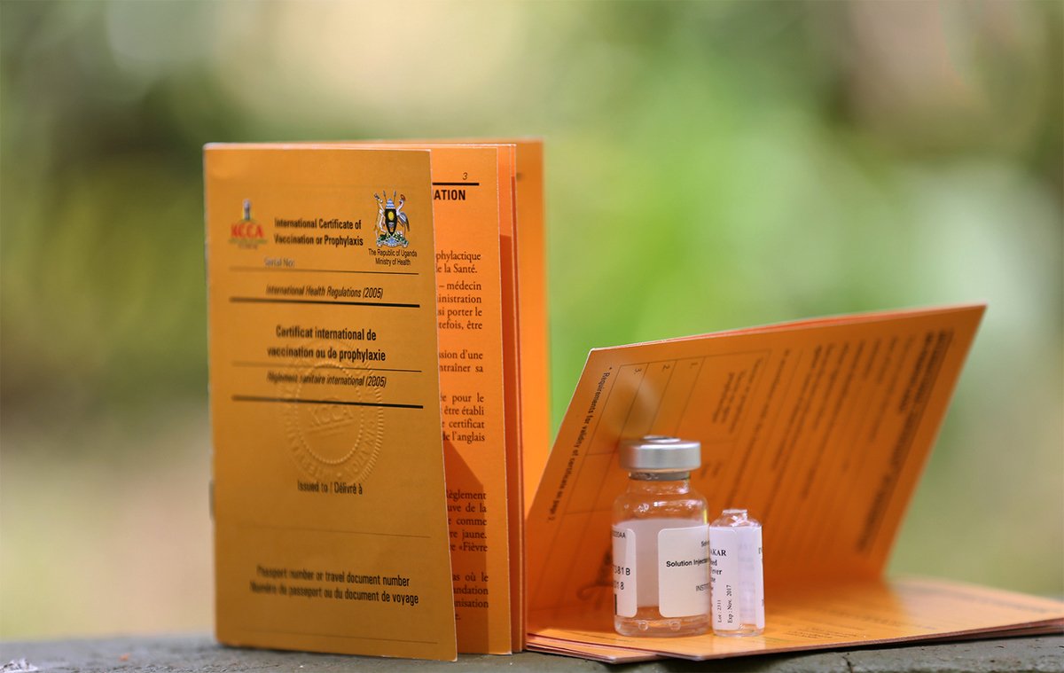 Yellow Fever Certificate
